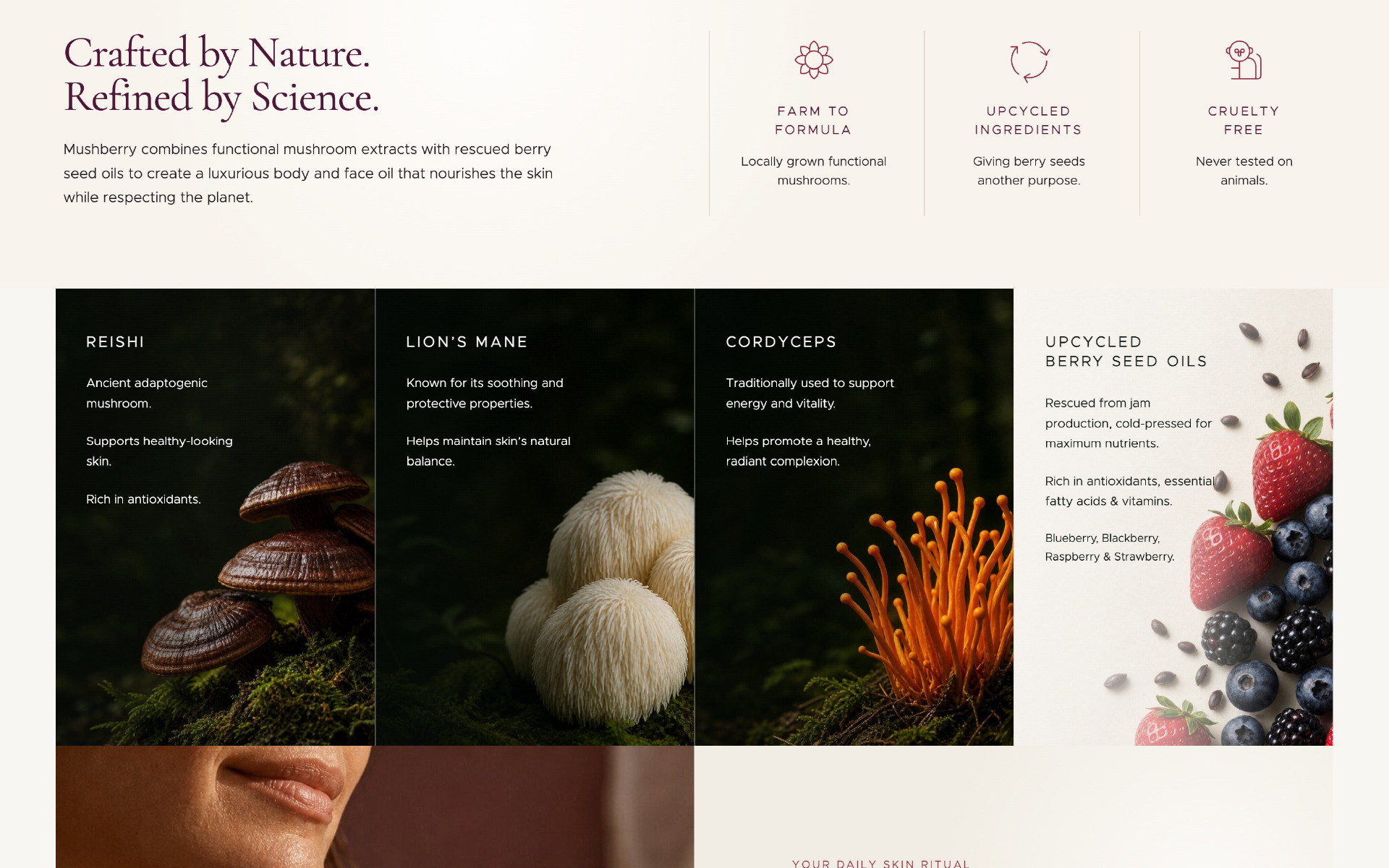 Mushberry skincare web design ross on wye herefordshire 6